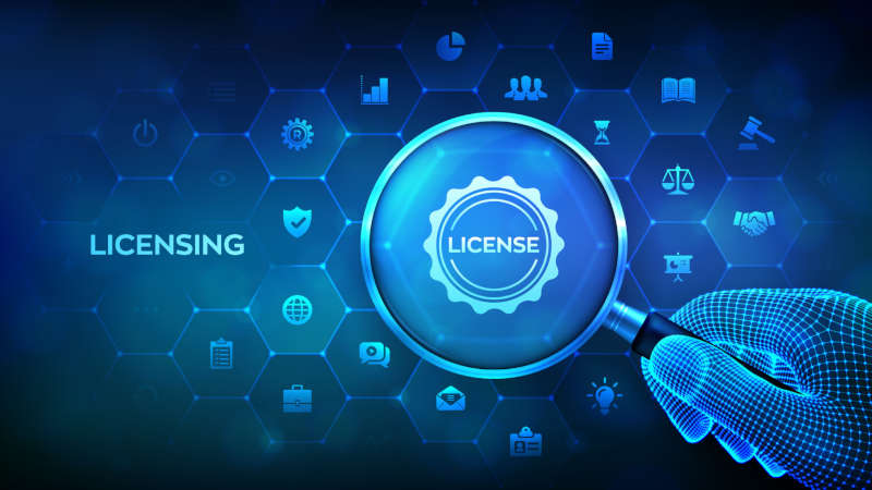 Enterprise Software Licensing